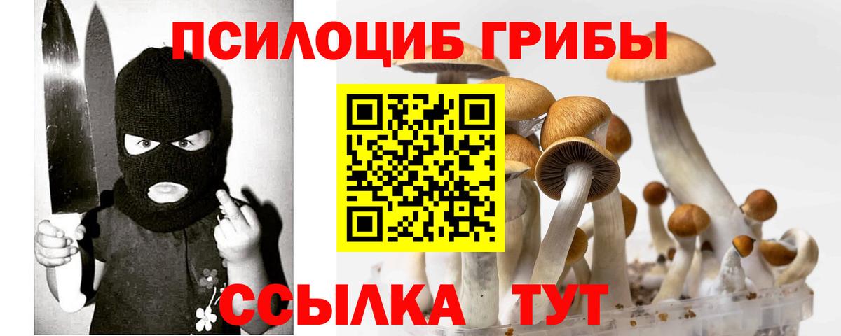 Псилоцибиновые грибы прущие грибы Череповец